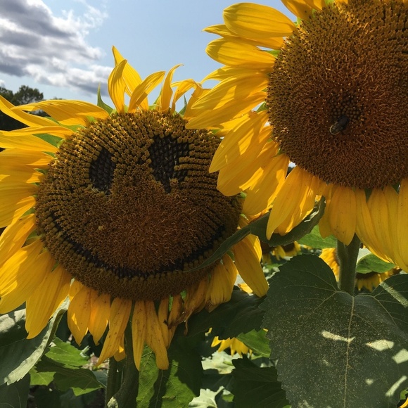 Meet your Posher, Nicole - Picture 1 of 1